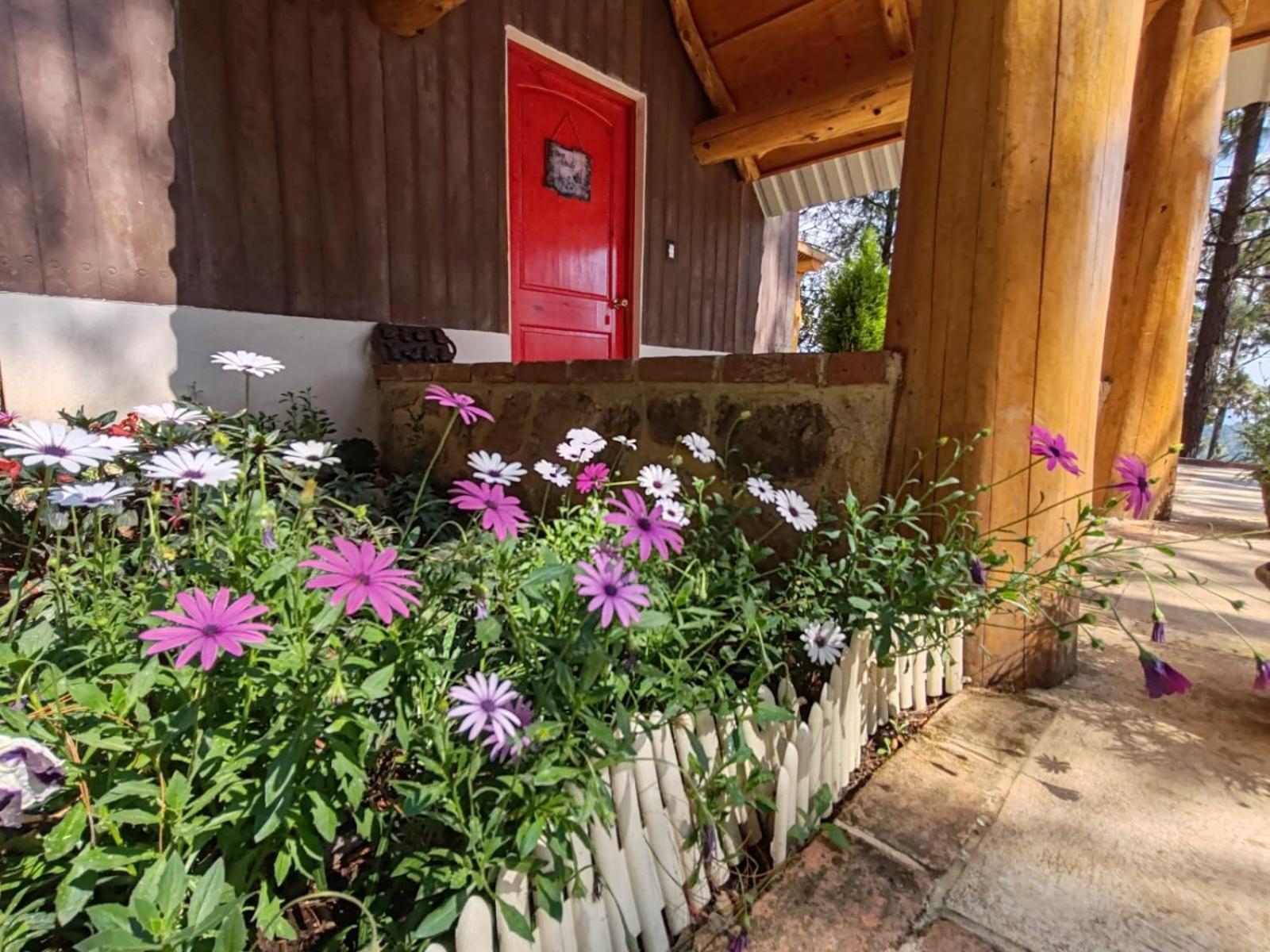 Finca Chuchiya Cabanas Tecpan Tecpán Guatemala Dış mekan fotoğraf